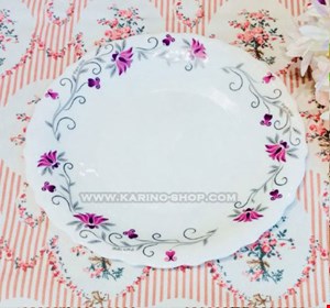 پارس اوپال کد 350