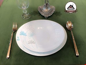 دریم هاوس - مدل : ادیسه فیروزه ای 